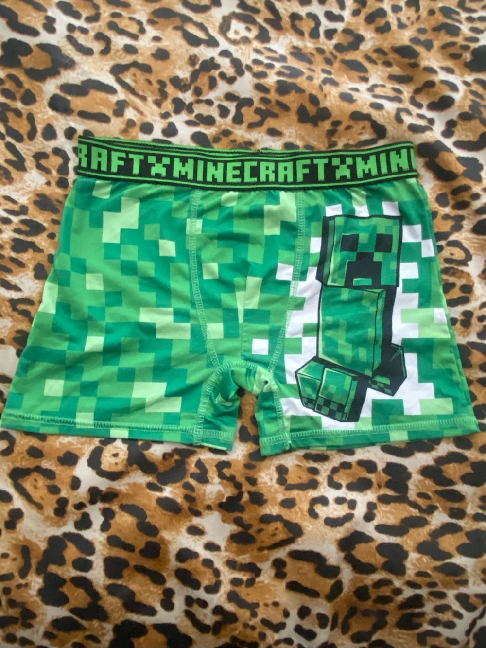 Minecraft Shorts/Boxers